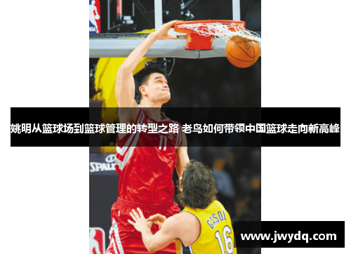 姚明从篮球场到篮球管理的转型之路 老鸟如何带领中国篮球走向新高峰